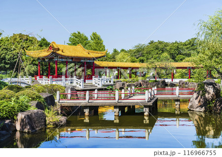 日本の中国庭園「瀋秀園」の風景【神奈川県・川崎市】 日本の中国庭園「瀋秀園」の風景【神奈川県・川崎市】 116966755