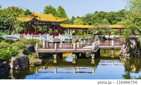 日本の中国庭園「瀋秀園」の風景【神奈川県・川崎市】 116966756