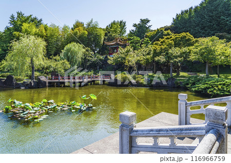 日本の中国庭園「瀋秀園」の風景【神奈川県・川崎市】 116966759