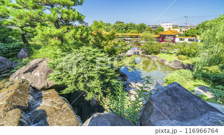 日本の中国庭園「瀋秀園」の風景【神奈川県・川崎市】 日本の中国庭園「瀋秀園」の風景【神奈川県・川崎市】 116966764