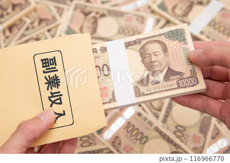 副業収入　イメージ 116966770