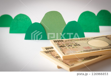 山とお金と電卓 山林所得 国産材 伐採 山とお金と電卓 山林所得 国産材 伐採 116966853