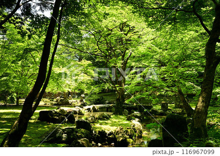 北畠氏館跡庭園 北畠氏館跡庭園 116967099