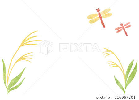 水彩タッチのトンボとすすきのベクターイラスト 116967201