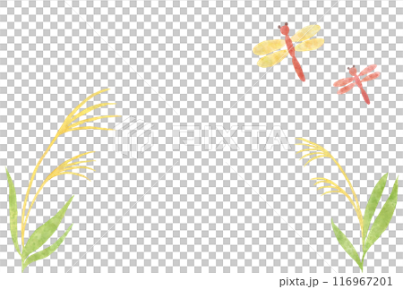 Watercolor dragonfly and silver grass vector illustration 116967201