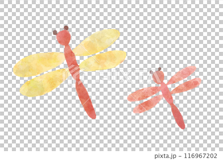 Vector illustration of a dragonfly in watercolor style 116967202