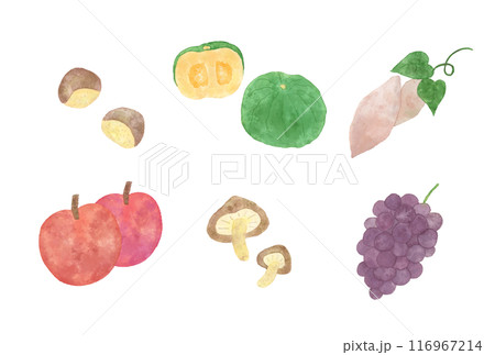 水彩タッチの秋の味覚のベクターイラストセット 水彩タッチの秋の味覚のベクターイラストセット 116967214