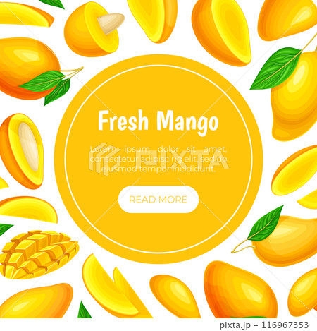 Fresh Mango Banner Design with Bright Tropical Food Vector Template Fresh Mango Banner Design with Bright Tropical Food Vector Template 116967353