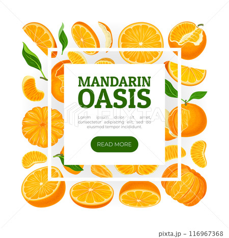 Mandarin Ripe Fruit Banner Design with Exotic Plant Vector Template 116967368