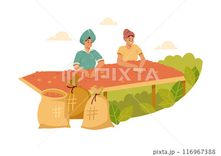 Woman Character Harvest Coffee Fruit with Basket Vector Illustration 116967388