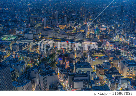 [夜景]サンシャイン60展望台からの眺望[夜景100選・日本夜景遺産] 116967855