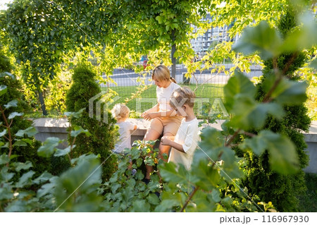Mother Enjoying Quality Time With Her Two Sons at the Playground During a Sunny Afternoon Mother Enjoying Quality Time With Her Two Sons at the Playground During a Sunny Afternoon 116967930