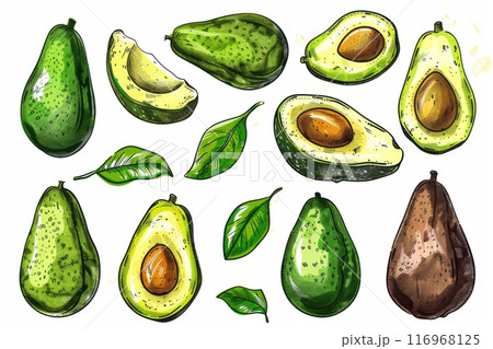 Illustration set of various ripe and fresh avocados with leaves on a white background. Generative AI 116968125