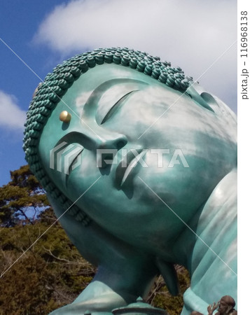 大仏さんのお昼寝 116968138