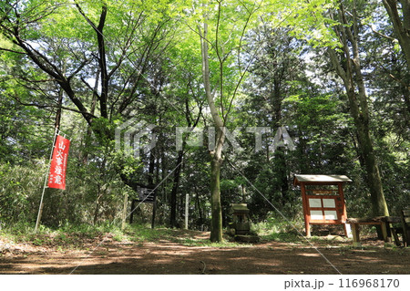 橘山 橘山 116968170