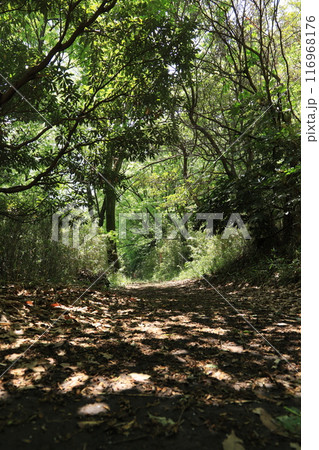 橘山 橘山 116968176