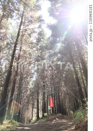 橘山 116968181