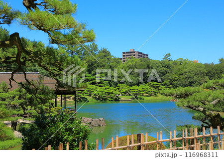 香川県 高松市 栗林公園 116968311