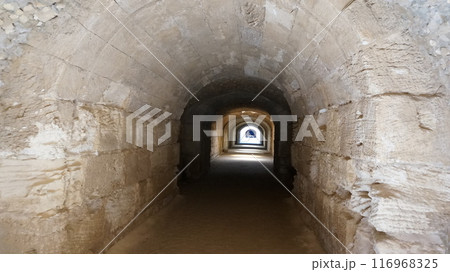 エル・ジェム円形闘技場の地下通路【チュニジア】 エル・ジェム円形闘技場の地下通路【チュニジア】 116968325