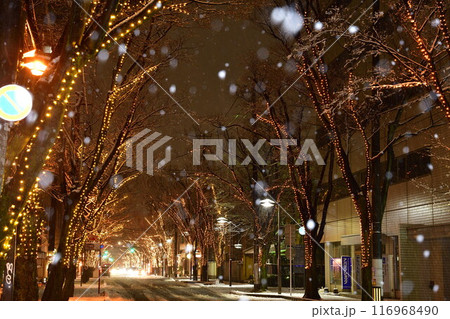 NIIGATA光のページェント（新潟県） 116968490