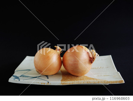 和食器に玉ねぎが2個 野菜 タマネギ サラダ 黒背景 和食器に玉ねぎが2個 野菜 タマネギ サラダ 黒背景 116968603