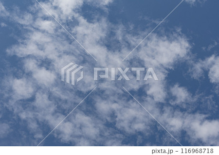 7月末の青空02 116968718