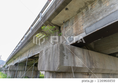 老朽化した橋梁 老朽化した橋梁 116968850