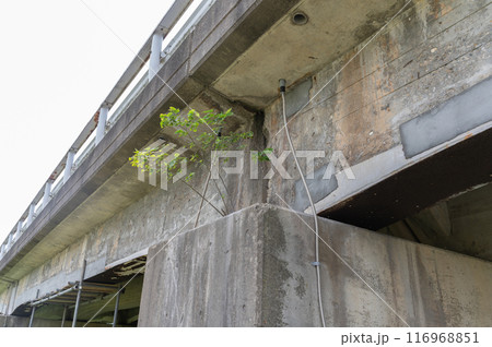 老朽化した橋梁 老朽化した橋梁 116968851