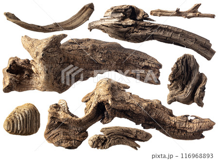 Set of snags for aquarium or decorative composition. 116968893