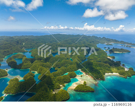 Birds eye view of Bucas Grande Island. White beach near Sohoton Bay. Deep blue sea under clear blue sky. Surigao del Norte. Mindanao, Philippines. 116969116
