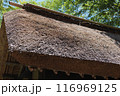 夏の古民家の茅葺き屋根　アップ画像 116969125