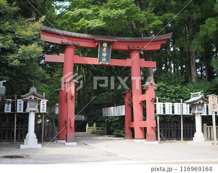 弥彦燈籠まつりの彌彦神社 一の鳥居 弥彦燈籠まつりの彌彦神社 一の鳥居 116969168