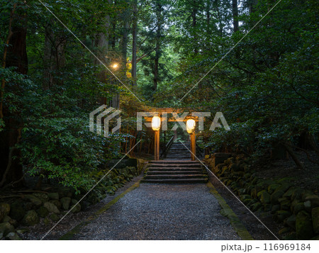 弥彦燈籠まつりの彌彦神社 参道の鳥居 弥彦燈籠まつりの彌彦神社 参道の鳥居 116969184