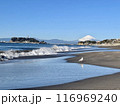 七里ヶ浜から望む江ノ島、雪の富士山とかもめ 116969240