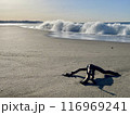 七里ヶ浜の朝日に光る砂浜と流木、白波 116969241