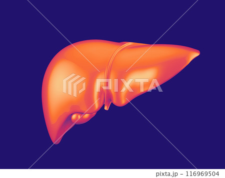 Abstract human liver 3d illustrationのイラスト素材 [116969504] - PIXTA
