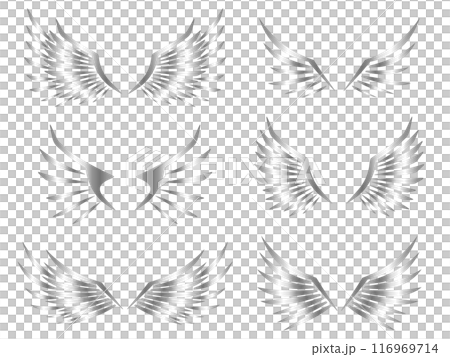 6 根羽毛套裝，銀色 116969714