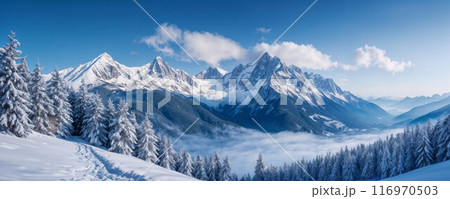 Beautiful winter landscape with snow covered trees 116970503