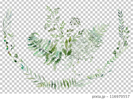 Wreath and bouquet with Watercolor fern twigs with green leaves isolated illustration, botanical wedding 116970557