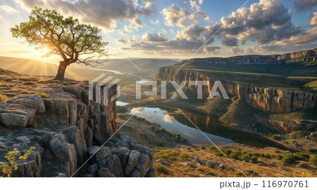 Old pine tree standing on the rock cliff against the river in the background Old pine tree standing on the rock cliff against the river in the background 116970761