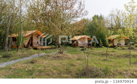 Cozy open glamping tents with light inside in summer camp. Camping tent for holiday and vacation 116970914