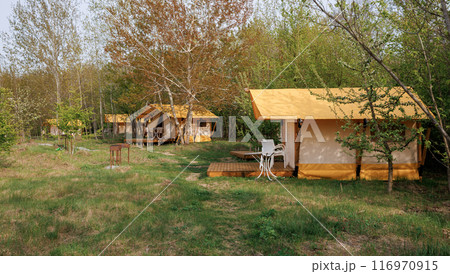 Cozy open glamping tents with light inside in summer camp. Camping tent for holiday and vacation Cozy open glamping tents with light inside in summer camp. Camping tent for holiday and vacation 116970915