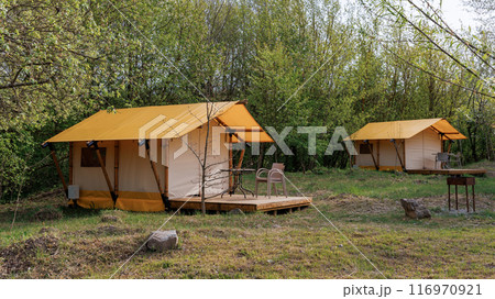 Cozy open glamping tents with light inside in summer camp. Camping tent for holiday and vacation 116970921