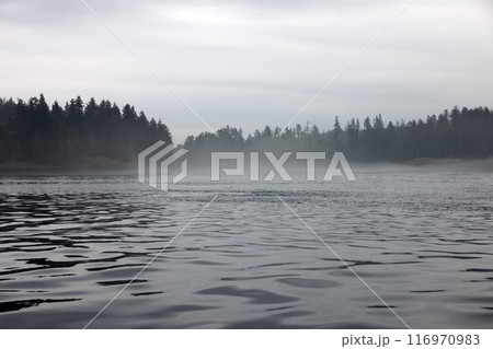 Misty sea landscape, British Columbia coast 116970983