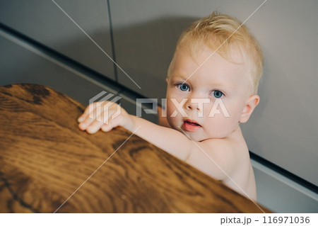 Portrait of adorable baby boy, boy with white hair and blue eyes looking at camera. Caucasian white child, face of cute toddler standing near kitchen table. Portrait of handsome baby. Portrait of adorable baby boy, boy with white hair and blue eyes looking at camera. Caucasian white child, face of cute toddler standing near kitchen table. Portrait of handsome baby. 116971036