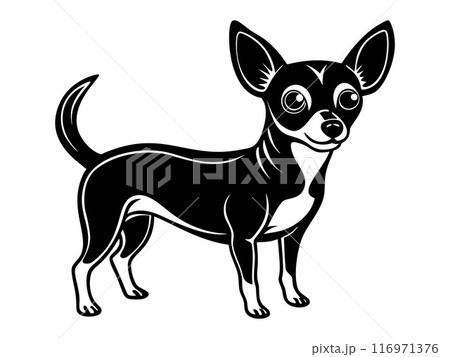 chiweenie dog full body icon. Black and white logo engraving style. 116971376