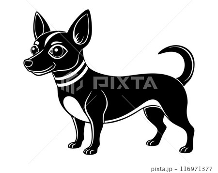 chiweenie dog full body icon. Black and white logo engraving style. 116971377