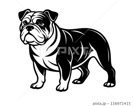 bulldog dog full body icon. Black and white logo, dog silhouette, engraving style. Pet character. 116971415