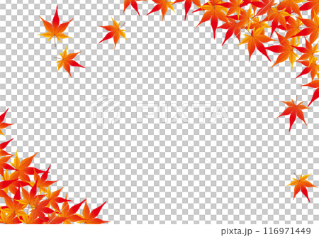 Beautiful autumn leaves frame background 12 Beautiful autumn leaves frame background 12 116971449