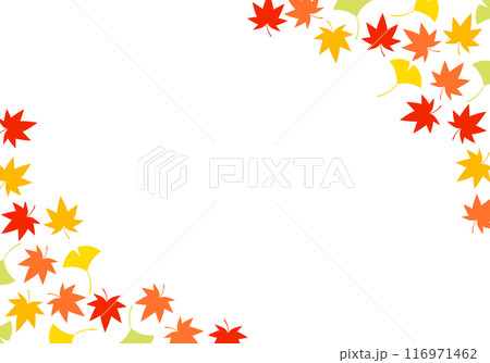 紅葉のもみじと銀杏フレーム背景16 紅葉のもみじと銀杏フレーム背景16 116971462